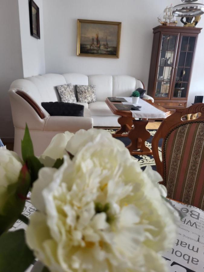 Apartament Paradise 米兹多洛杰 外观 照片