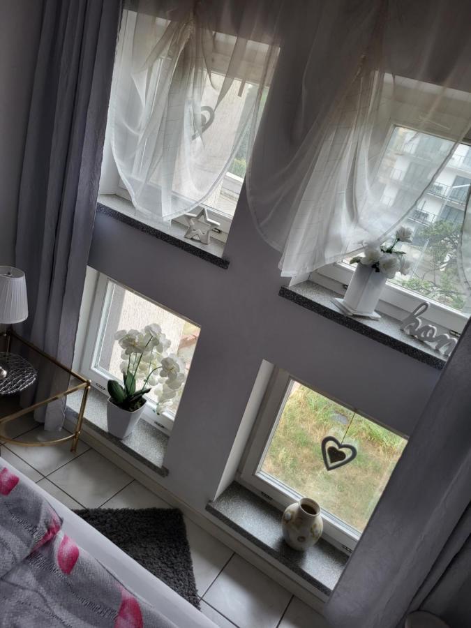 Apartament Paradise 米兹多洛杰 外观 照片